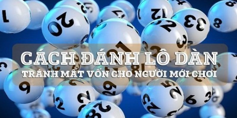 Tổng hợp các cách chơi dàn đề hiệu quả cao